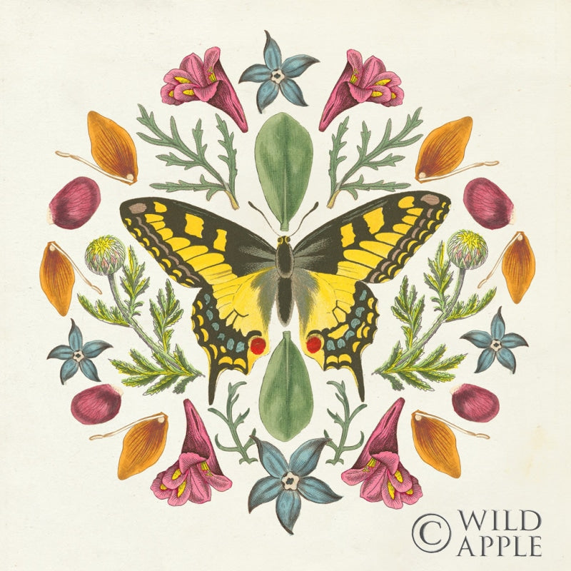 Reproduction of Butterfly Mandala III by Wild Apple Portfolio - Wall Decor Art