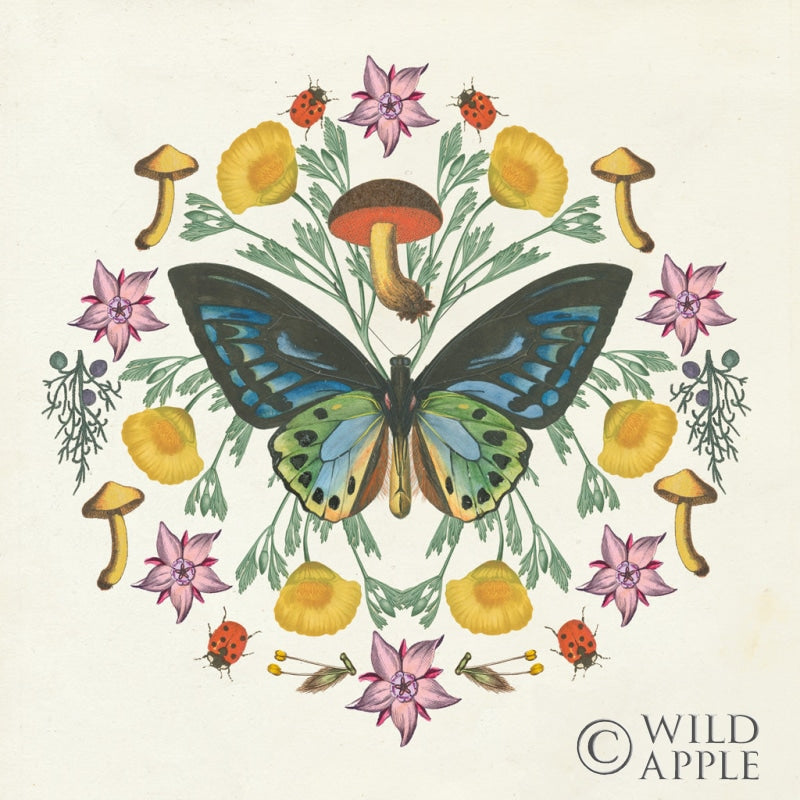 Reproduction of Butterfly Mandala IV by Wild Apple Portfolio - Wall Decor Art
