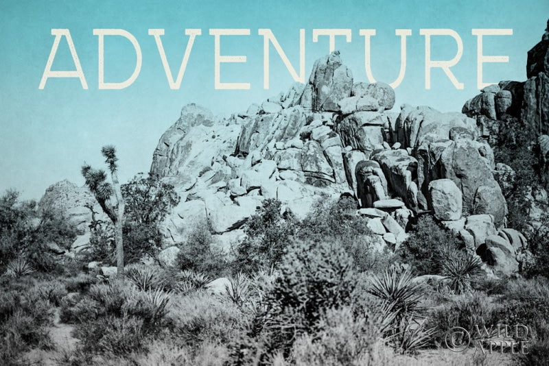 Reproduction of Ombre Adventure III Adventure by Elizabeth Urquhart - Wall Decor Art