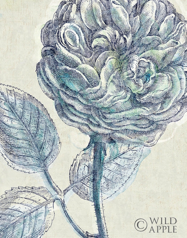 Reproduction of x14 Belle Fleur III Crop by Sue Schlabach - Wall Decor Art