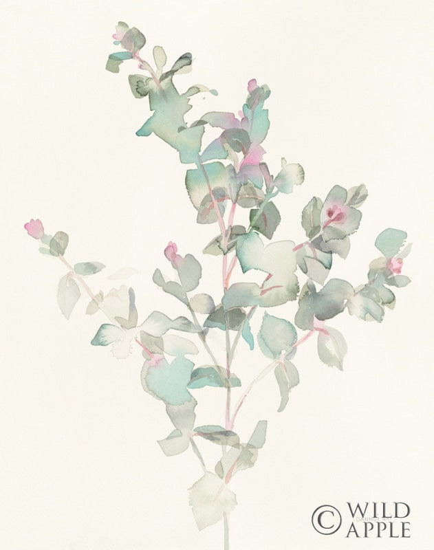 Reproduction of Eucalyptus II by Danhui Nai - Wall Decor Art