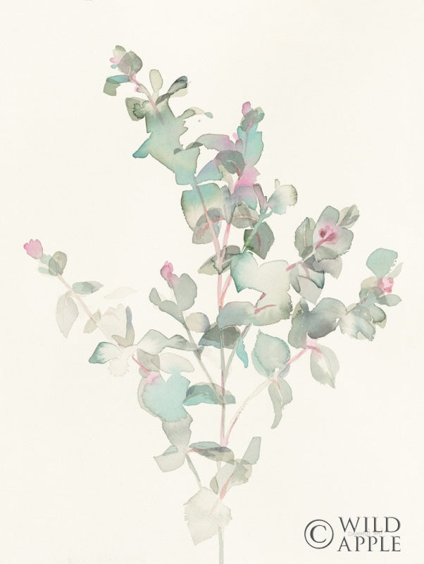 Reproduction of Eucalyptus II by Danhui Nai - Wall Decor Art