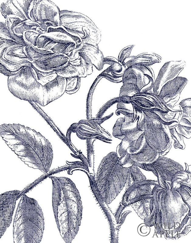 Reproduction of Belle Fleur I Light Crop by Sue Schlabach - Wall Decor Art