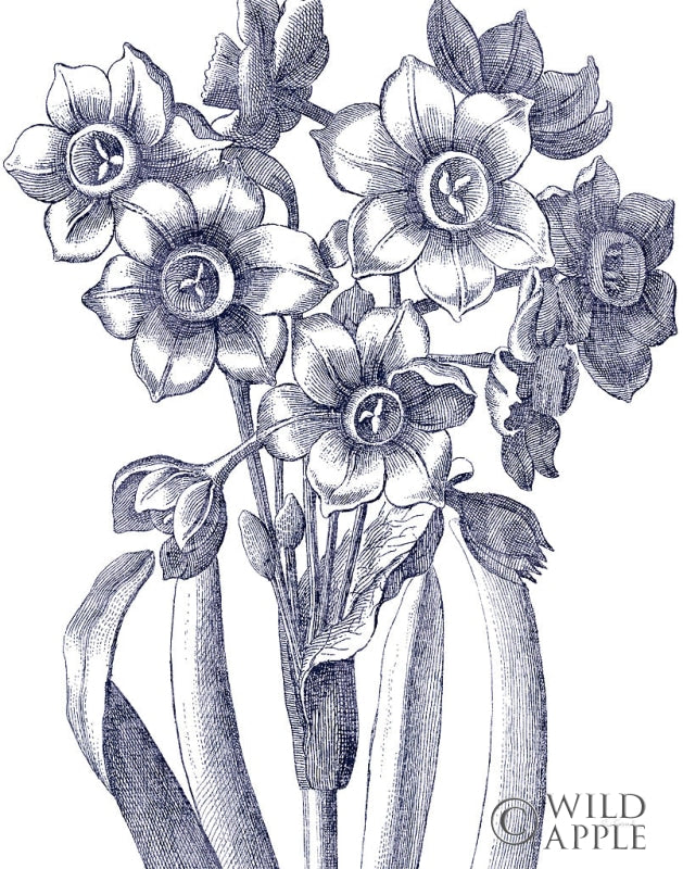 Reproduction of Belle Fleur IV Light Crop by Sue Schlabach - Wall Decor Art