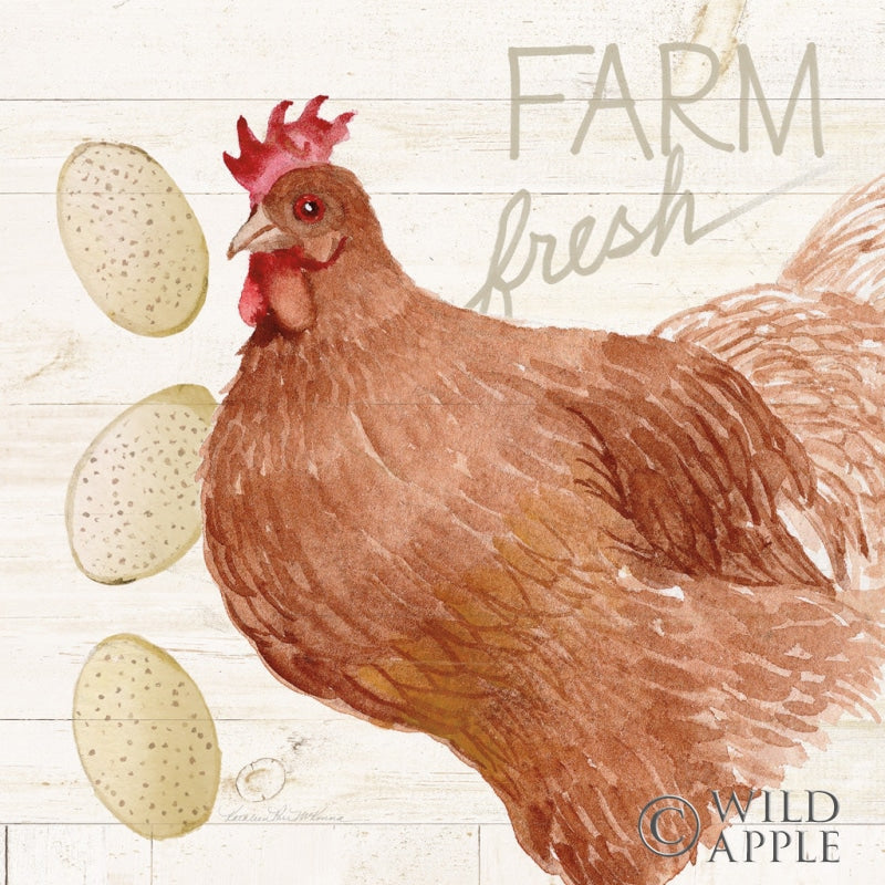 Reproduction of Life on the Farm Chicken II by Kathleen Parr McKenna - Wall Decor Art