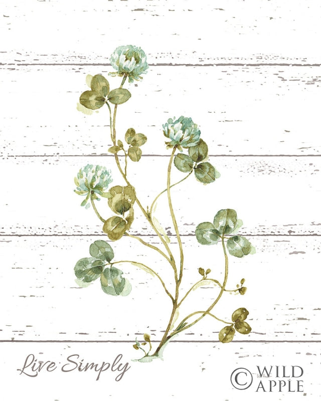 Reproduction of My Greenhouse Clover Live Simply by Lisa Audit - Wall Decor Art