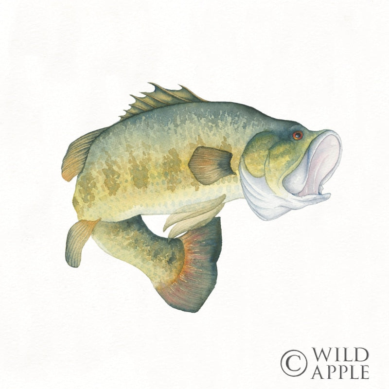 Reproduction of Gone Fishin Large Mouth by Wild Apple Portfolio - Wall Decor Art