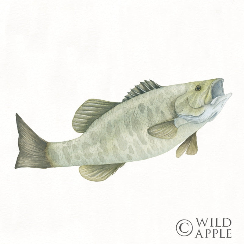 Reproduction of Gone Fishin Small Mouth by Wild Apple Portfolio - Wall Decor Art