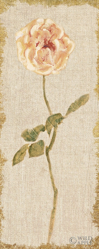 Reproduction of Pale Rose Panel on White Vintage v2 by Cheri Blum - Wall Decor Art