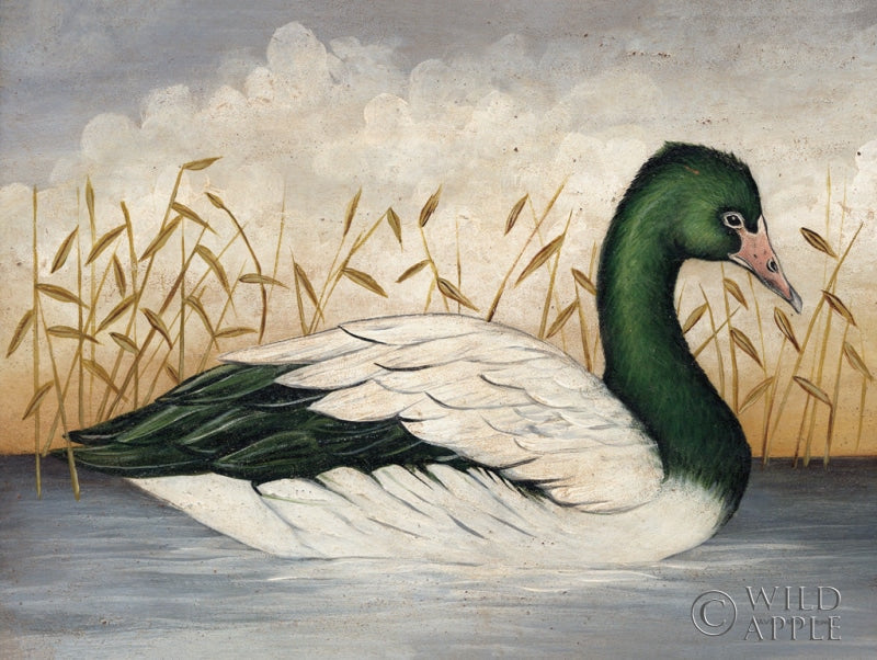 Reproduction of Magpie Goose by David Carter Brown - Wall Decor Art
