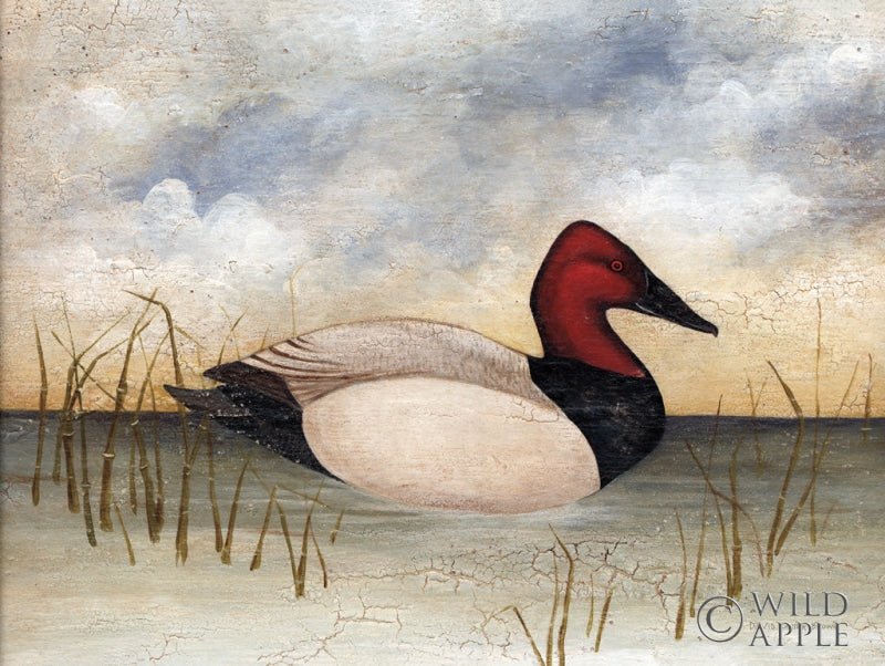 Reproduction of Canvas Back by David Carter Brown - Wall Decor Art