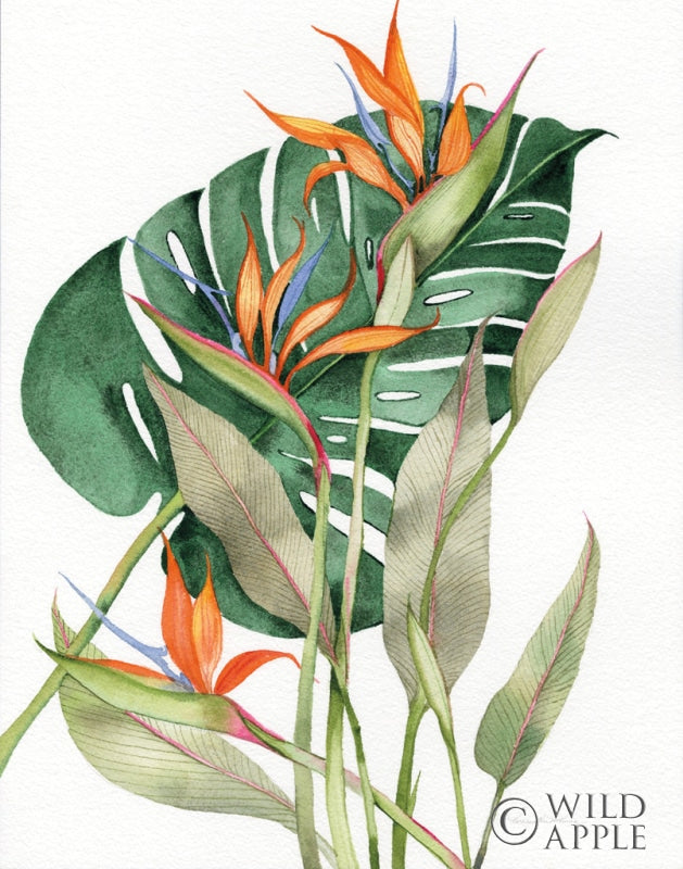 Reproduction of Botanical Birds of Paradise Crop by Kathleen Parr McKenna - Wall Decor Art