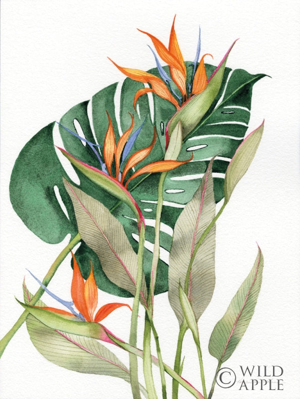 Reproduction of Botanical Birds of Paradise by Kathleen Parr McKenna - Wall Decor Art