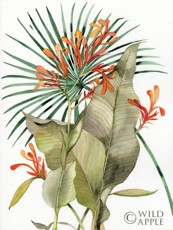 Reproduction of Botanical Flame Lilies by Kathleen Parr McKenna - Wall Decor Art