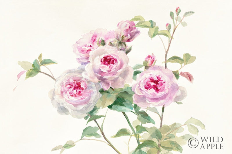 Reproduction of Sweet Roses on White Green by Danhui Nai - Wall Decor Art