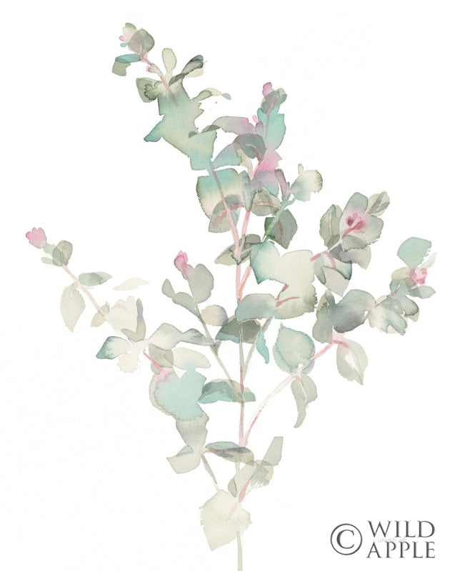 Reproduction of Eucalyptus II White by Danhui Nai - Wall Decor Art