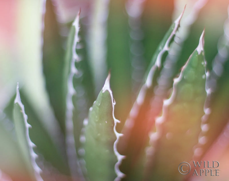 Reproduction of Dream Desert IV Crop by Sue Schlabach - Wall Decor Art