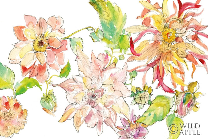 Reproduction of Dahlia Delight of the Day I by Kristy Rice - Wall Decor Art