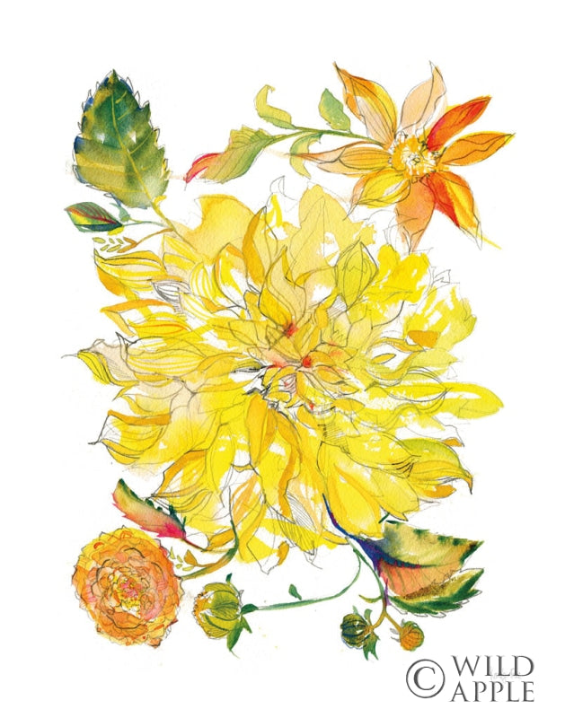 Reproduction of Dahlia Delight of the Day III by Kristy Rice - Wall Decor Art