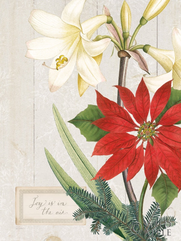 Reproduction of Joyful Tidings II on Wood by Sue Schlabach - Wall Decor Art