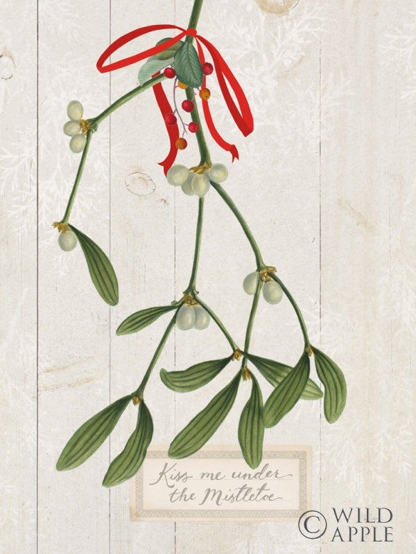 Reproduction of Joyful Tidings V on Wood by Sue Schlabach - Wall Decor Art