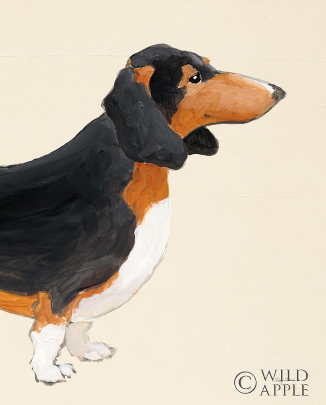 Reproduction of My Best Friend Dachshund III by Avery Tillmon - Wall Decor Art