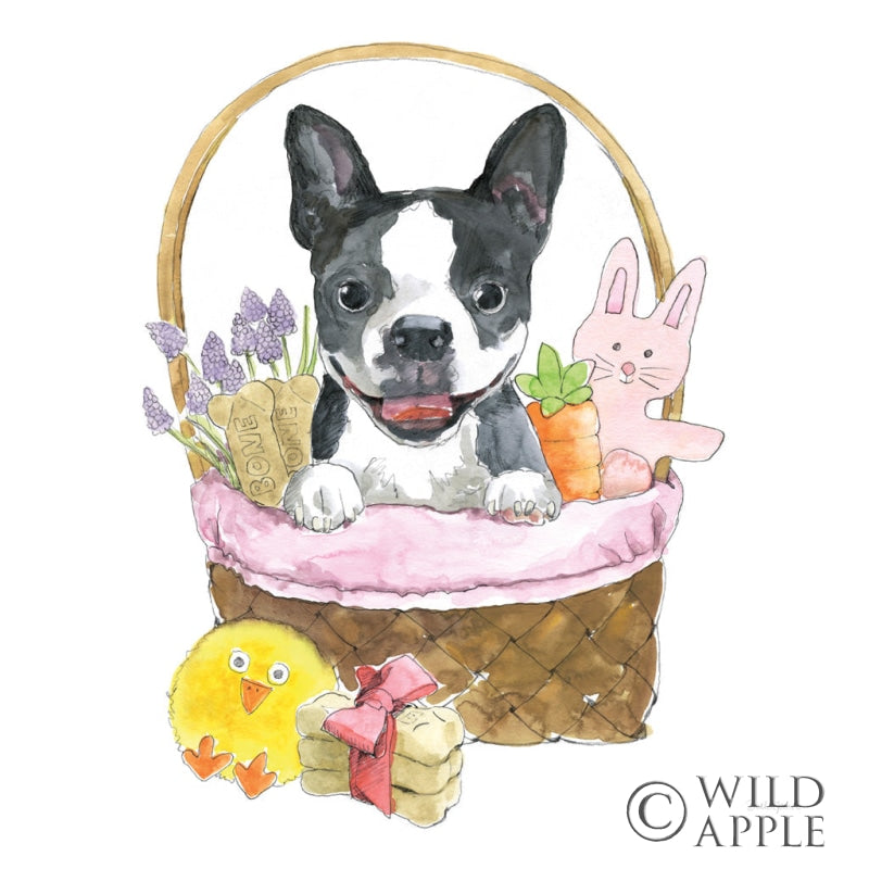 Reproduction of Easter Pups VII by Beth Grove - Wall Decor Art