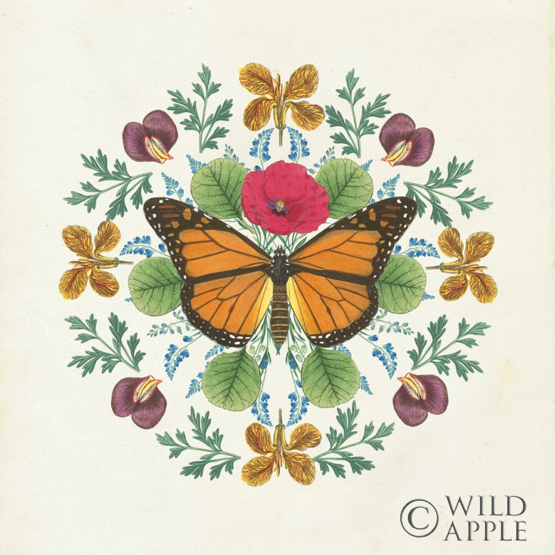 Reproduction of Butterfly Mandala I v2 by Wild Apple Portfolio - Wall Decor Art