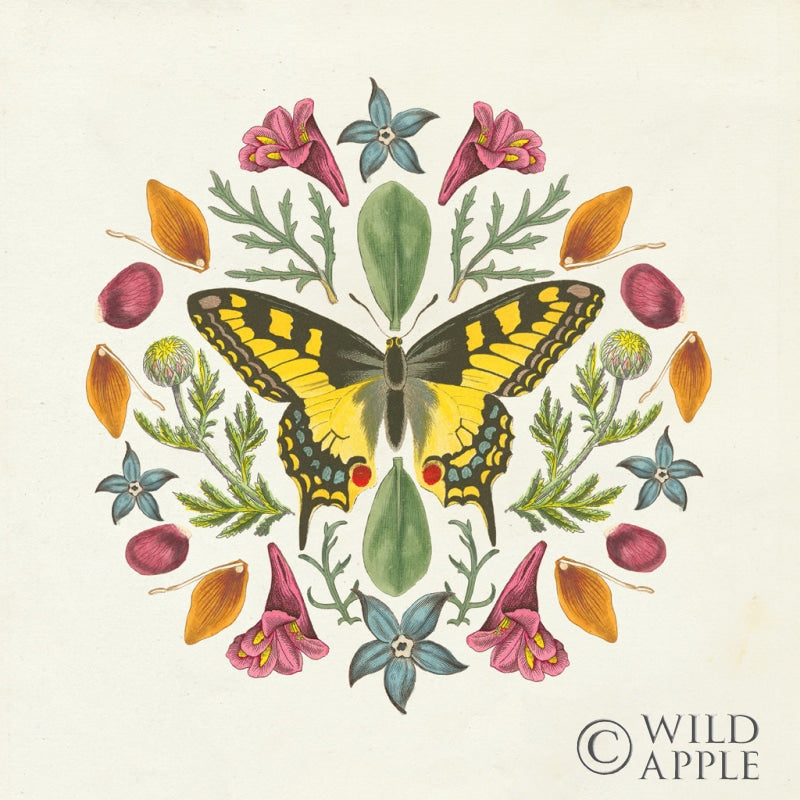 Reproduction of Butterfly Mandala III v2 by Wild Apple Portfolio - Wall Decor Art