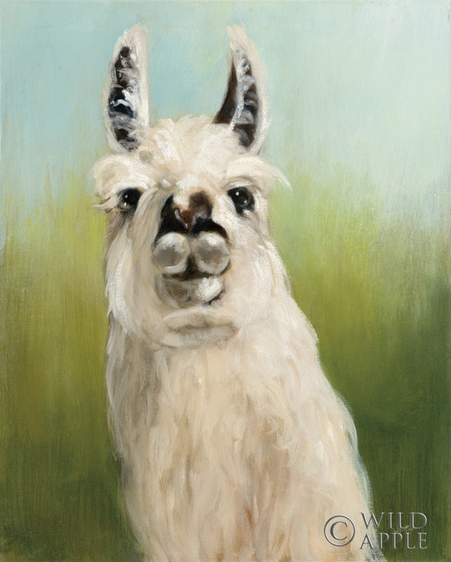 Reproduction of Whos Your Llama I by Julia Purinton - Wall Decor Art