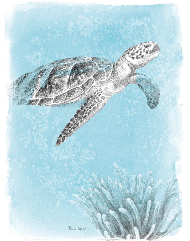 Reproduction of Coastal Sea Life I Crop by Beth Grove - Wall Decor Art