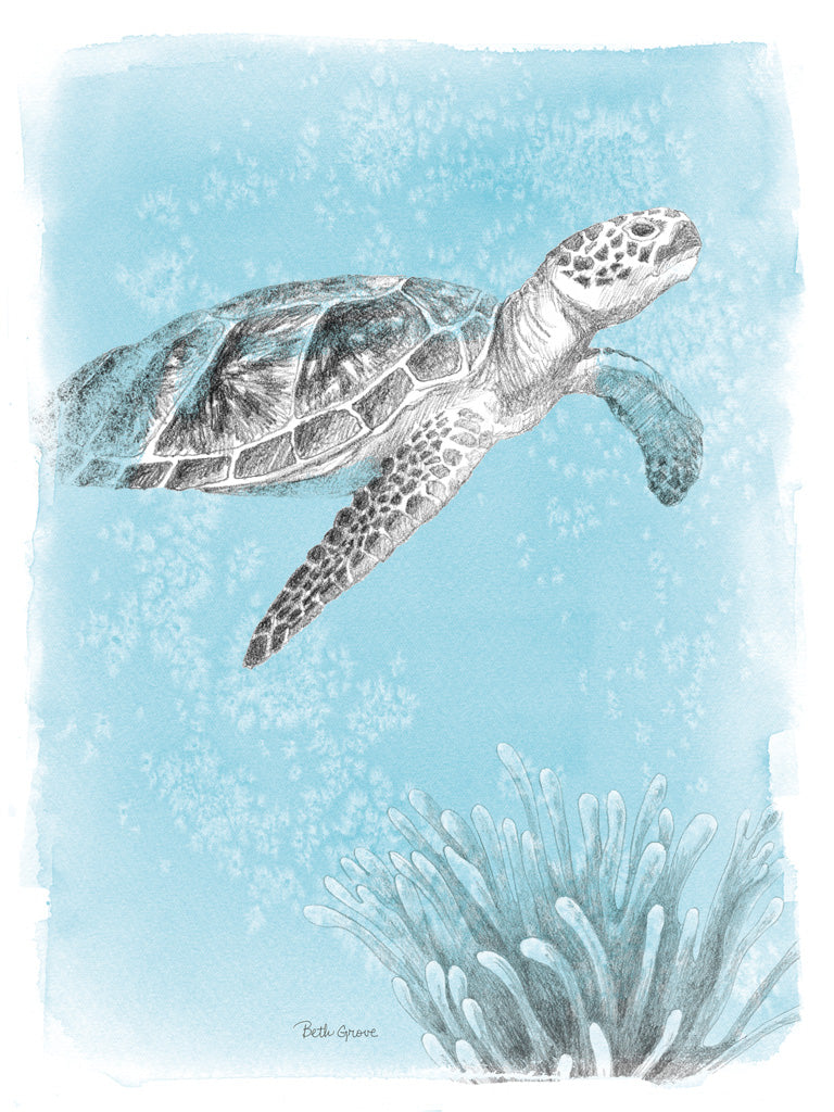 Reproduction of Coastal Sea Life I by Beth Grove - Wall Decor Art