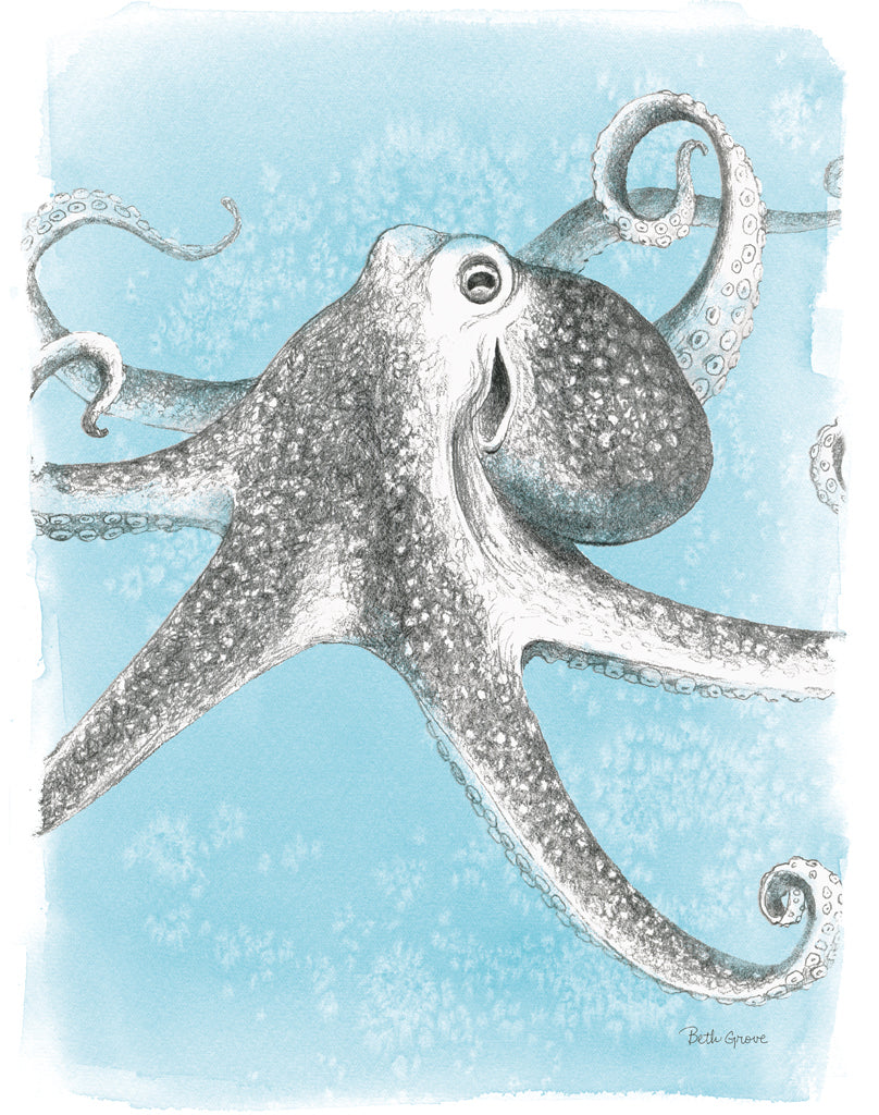 Reproduction of Coastal Sea Life II Crop by Beth Grove - Wall Decor Art