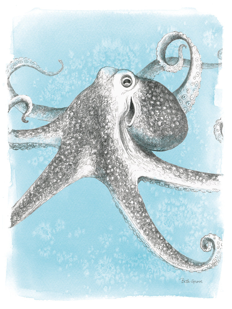 Reproduction of Coastal Sea Life II by Beth Grove - Wall Decor Art