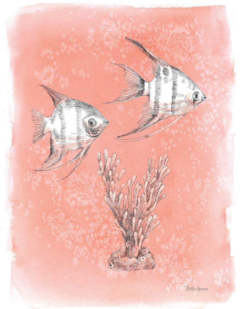 Reproduction of Coastal Sea Life III Crop by Beth Grove - Wall Decor Art