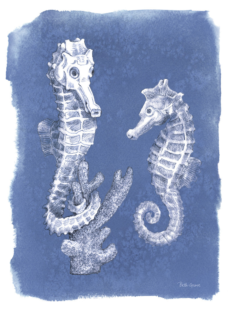 Reproduction of Coastal Sea Life V by Beth Grove - Wall Decor Art