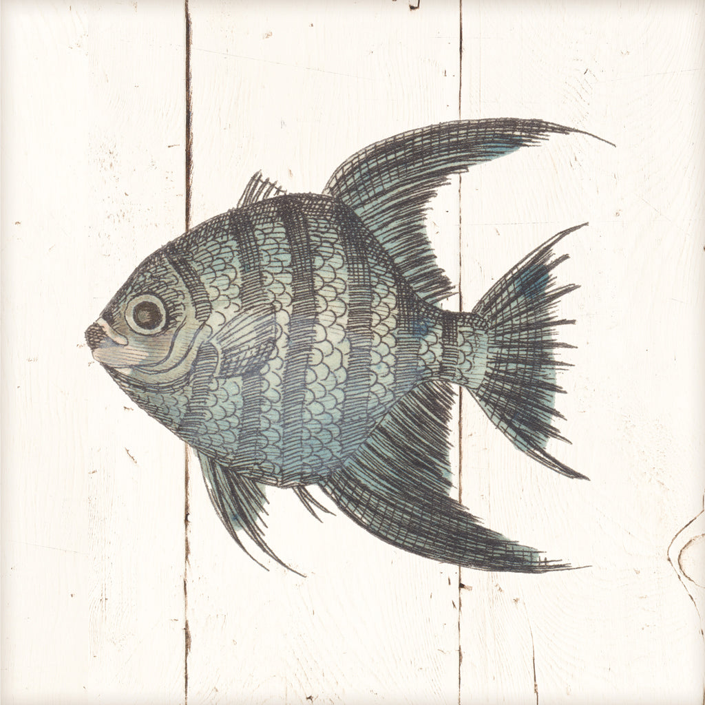Reproduction of Fish Sketches II Shiplap by Wild Apple Portfolio - Wall Decor Art