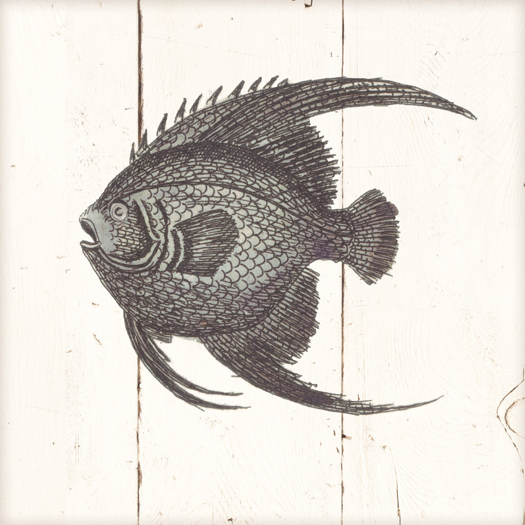 Reproduction of Fish Sketches IV Shiplap by Wild Apple Portfolio - Wall Decor Art