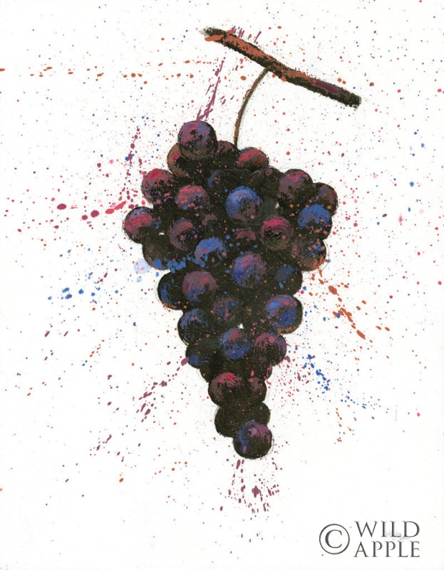 Reproduction of Wine Splash Grapes Purple by Wellington Studio - Wall Decor Art