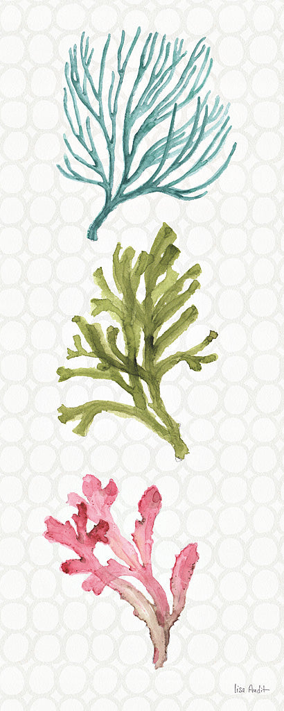 Reproduction of Mixed Greens XXVIII by Lisa Audit - Wall Decor Art