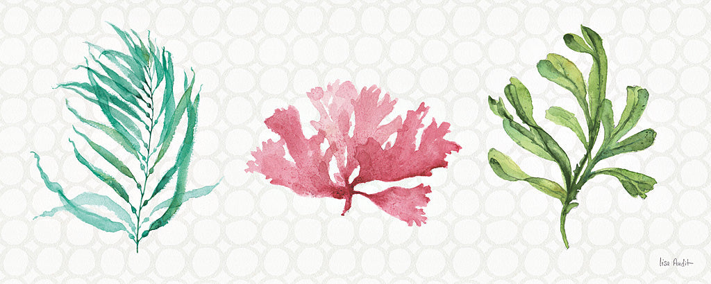 Reproduction of Mixed Greens XXXI by Lisa Audit - Wall Decor Art