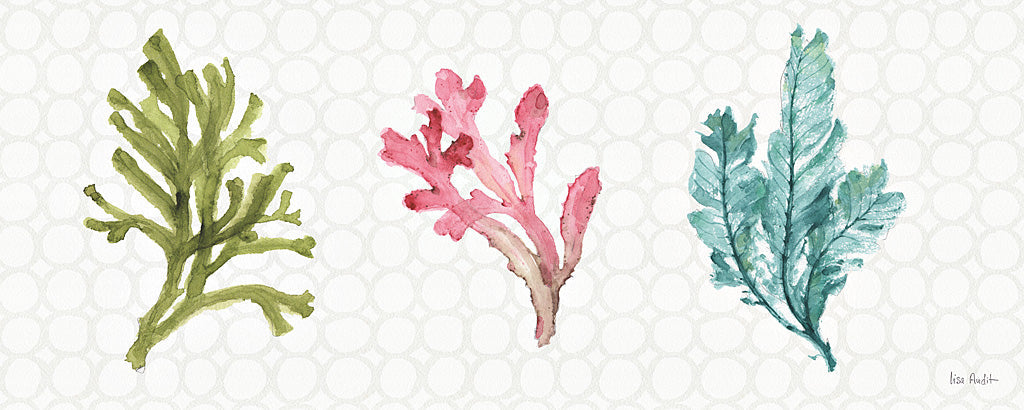 Reproduction of Mixed Greens XXXII by Lisa Audit - Wall Decor Art