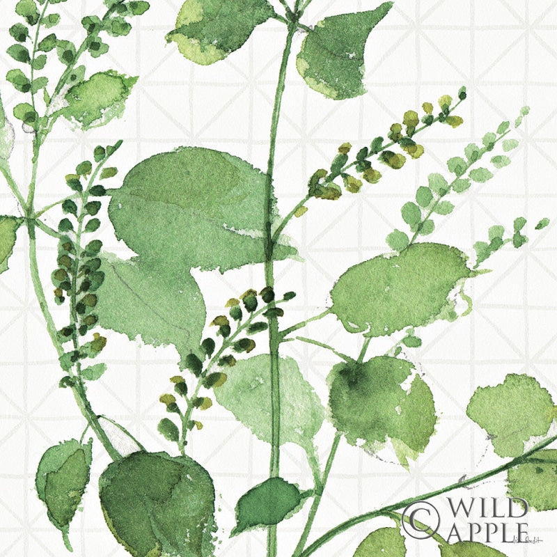 Reproduction of Mixed Greens LIII by Lisa Audit - Wall Decor Art