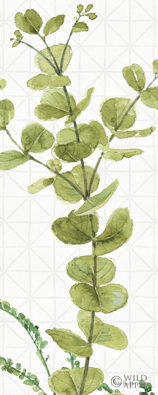 Reproduction of Mixed Greens LX by Lisa Audit - Wall Decor Art