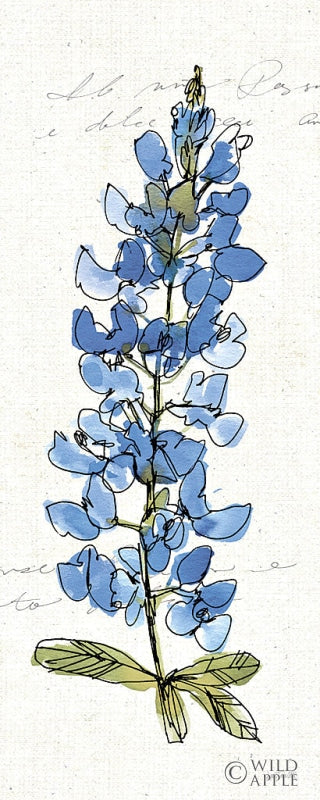 Reproduction of Texas Bluebonnet III by Anne Tavoletti - Wall Decor Art
