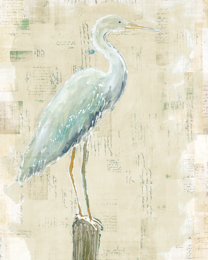 Reproduction of Coastal Egret I v2 no Aqua by Sue Schlabach - Wall Decor Art