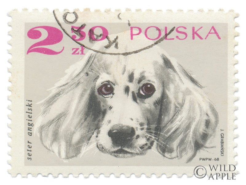 Reproduction of Poland Stamp IV on White by Wild Apple Portfolio - Wall Decor Art