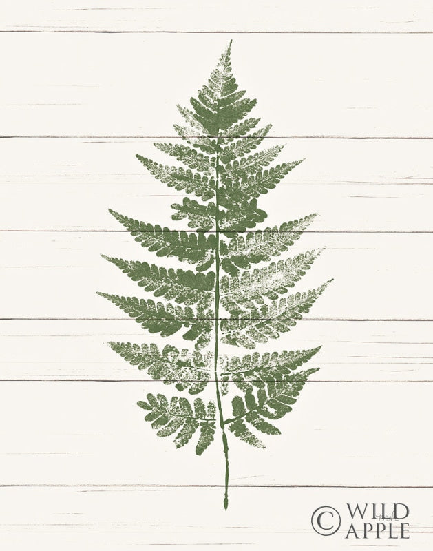 Reproduction of Fern Print I Crop by Moira Hershey - Wall Decor Art