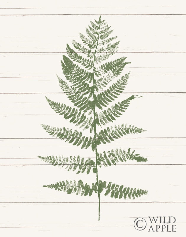 Reproduction of Fern Print II Crop by Moira Hershey - Wall Decor Art