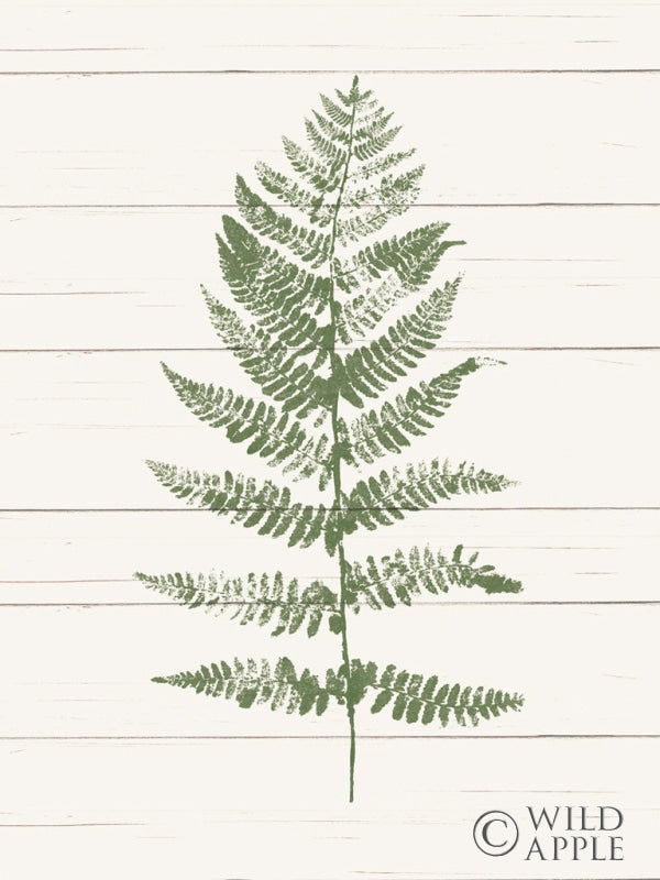 Reproduction of Fern Print II by Moira Hershey - Wall Decor Art